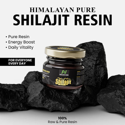 Shilajit Resin