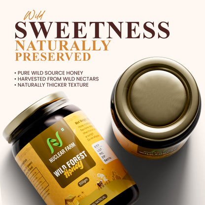 Wild Forest honey - 500 gm