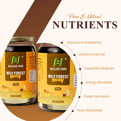 Wild Forest honey - 500 gm