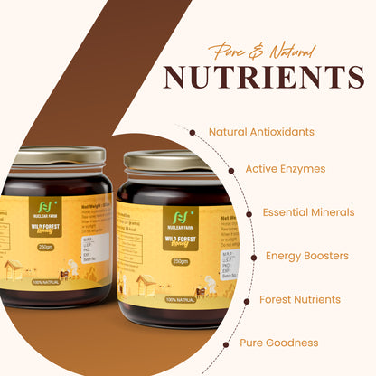 Wild Forest honey - 250 gm