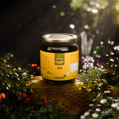 Wild Forest honey - 250 gm